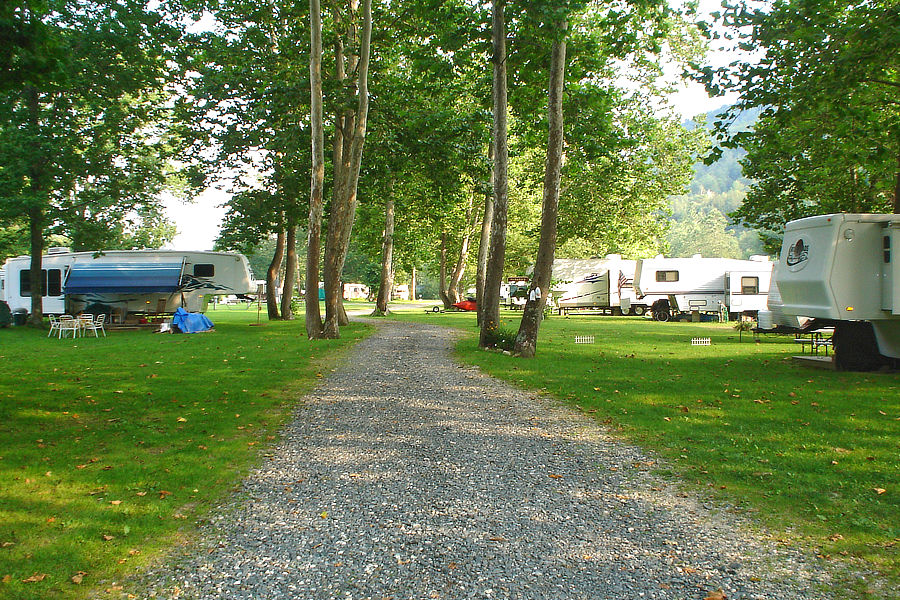 Sunny and shaded campsites